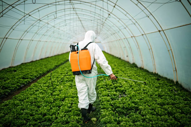 Best Wildlife Control Services  in Greenvle, IL