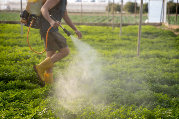 Trusted Greenville, IL Pest Control Experts