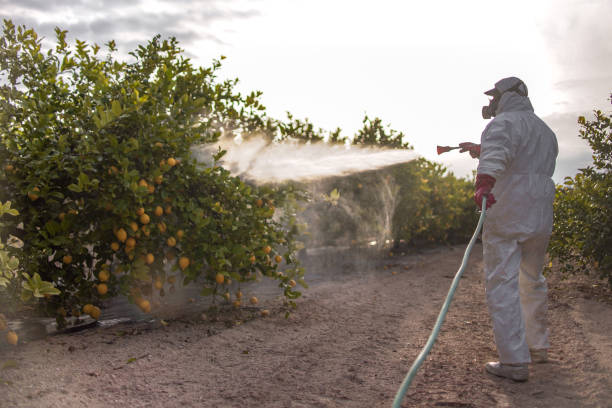 Professional Pest Control in Greenville, IL