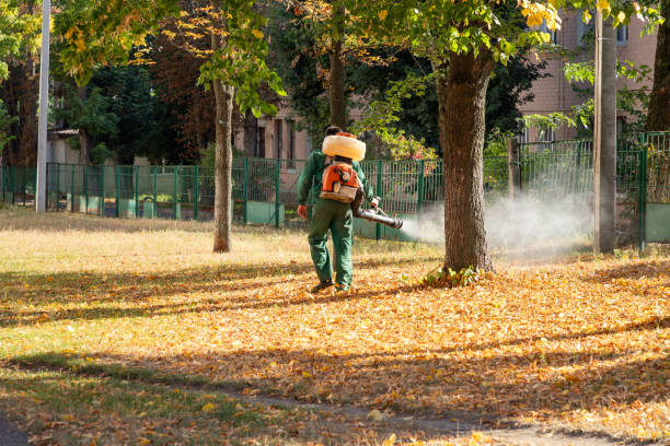 Best Mosquito Control Services  in Greenvle, IL