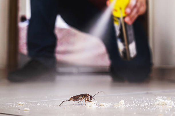 Best Mosquito Control Services  in Greenvle, IL
