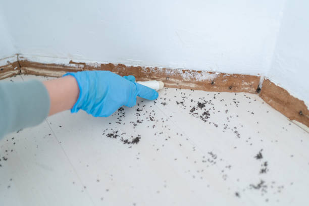 Pest Control Cost in Greenville, IL