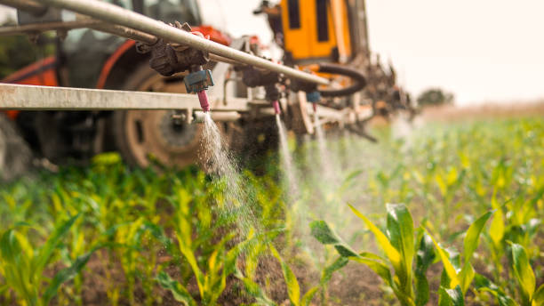 Best Pest Control Near Me  in Greenvle, IL
